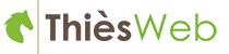 Thies Web Logo
